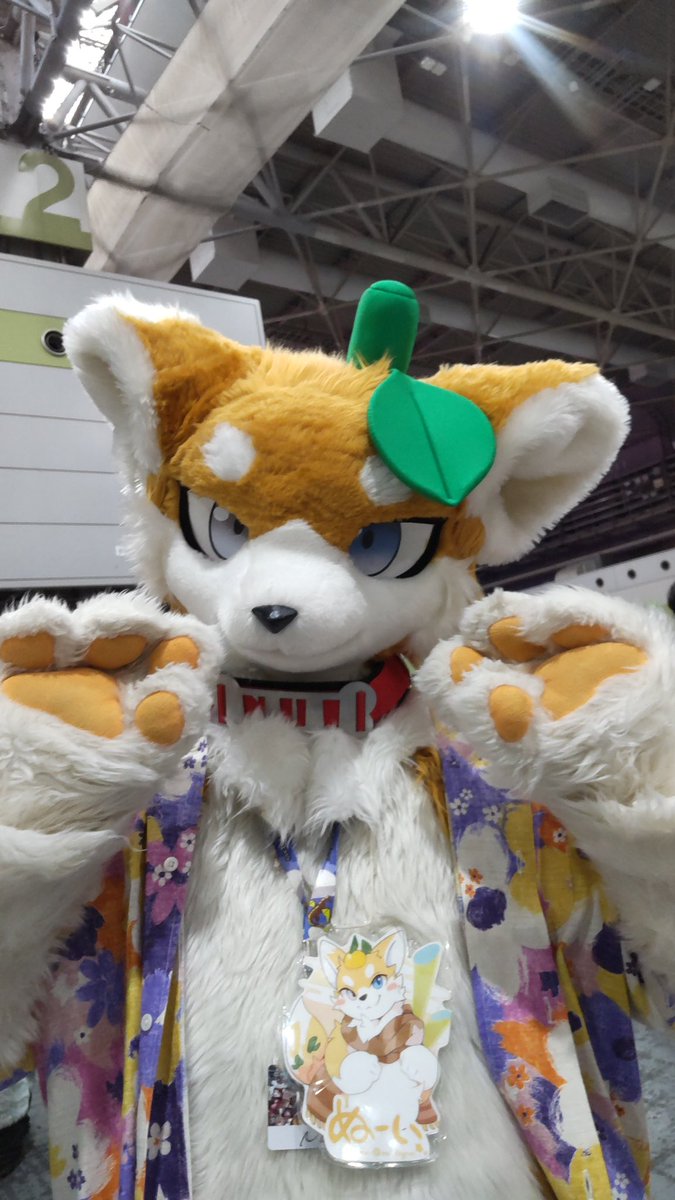 Matoon2525's tweet photo. 【OFFF2026】キャラさん紹介⑤⑥
お顔がとってもカッコいい、ぬーいくん〜o(`ω´ )o
愛媛と馴染み深いみかん🍊がモチーフのキャラさんで、今回初めて会えてお写真も撮れて嬉しかった〜(*´꒳`*)マタアイタイナ
#OFFF #OFFF2026 #キャラ紹介 https://t.co/S5Gp7RIwi6