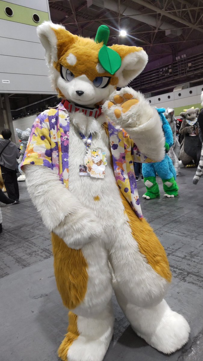 Matoon2525's tweet photo. 【OFFF2026】キャラさん紹介⑤⑥
お顔がとってもカッコいい、ぬーいくん〜o(`ω´ )o
愛媛と馴染み深いみかん🍊がモチーフのキャラさんで、今回初めて会えてお写真も撮れて嬉しかった〜(*´꒳`*)マタアイタイナ
#OFFF #OFFF2026 #キャラ紹介 https://t.co/S5Gp7RIwi6