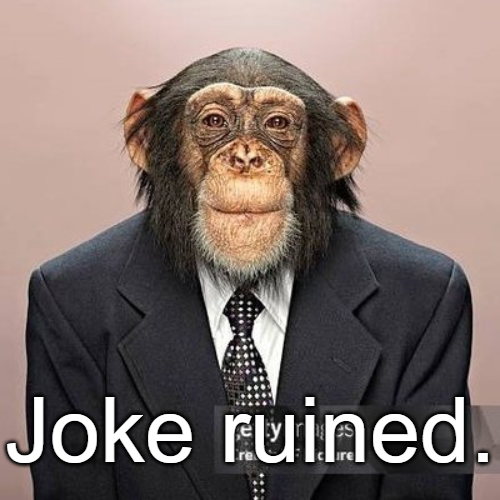 codeHusky tweet picture