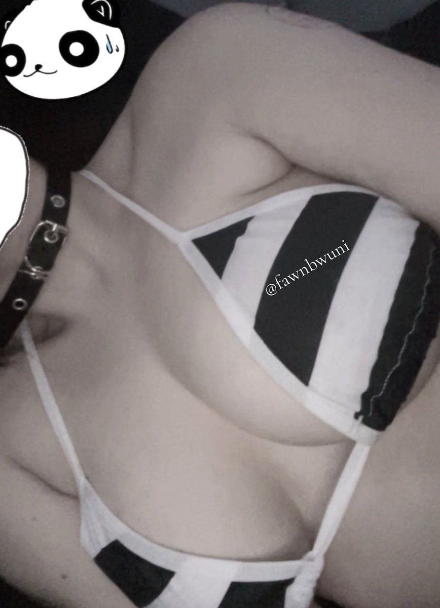 fawnbwuni's tweet photo. i luv my collar 
i also love pusheen ^_^
#egirl #selling #ekitten #sellingcontent #nsfw #nsfwtwtًً #petplay #slut #buyer #cnc #bikini https://t.co/JlqcwAqQ9f