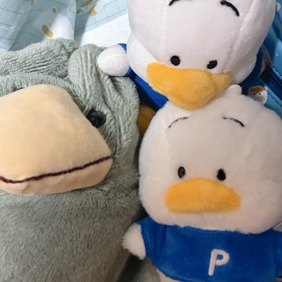 uusagi_11's tweet photo. https://t.co/pX7G7T8FoW