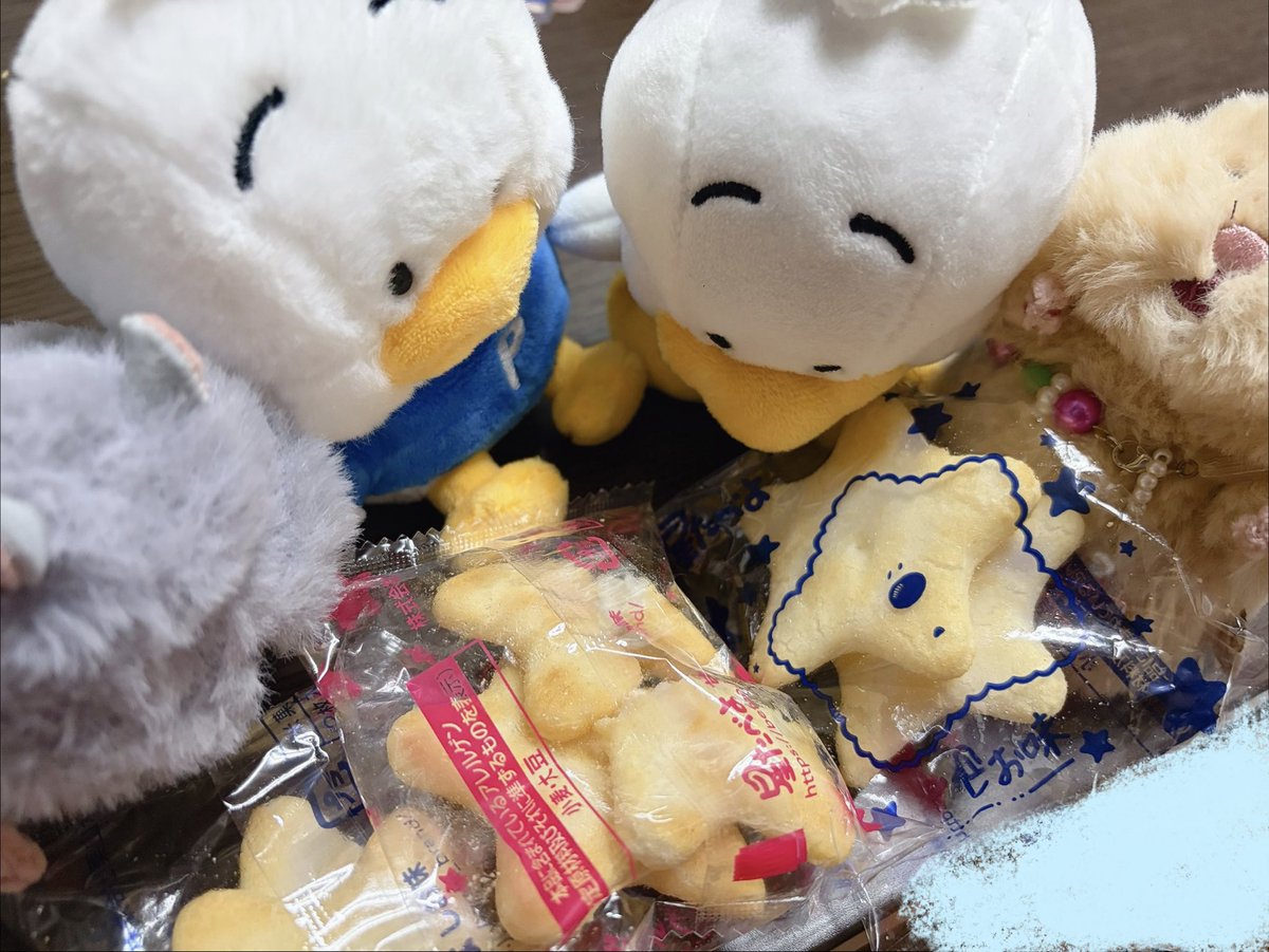 uusagi_11's tweet photo. https://t.co/pX7G7T8FoW