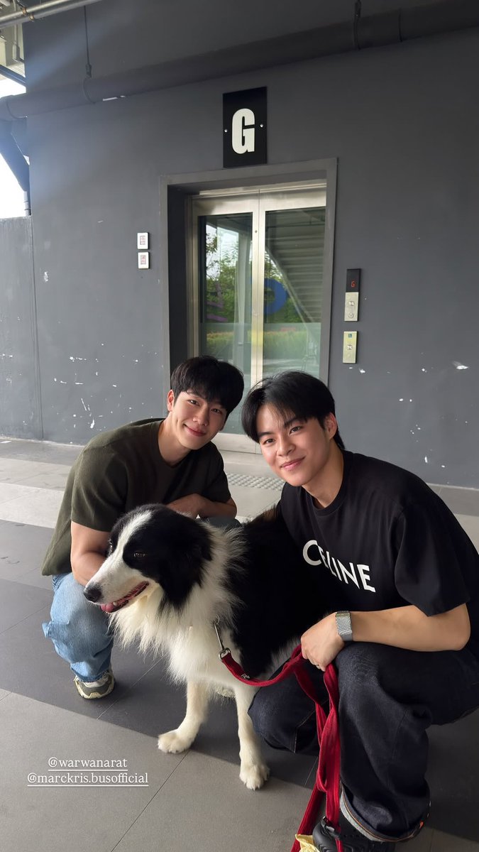 TEAMMARCKRIS's tweet photo. 📢🔔

SOCIAL UPDATE 
[On IG story @ warmsitt]

🐶✨

#️⃣#️⃣#️⃣
#MARCKRIS #warwanarat
#BUSbecauseofyouishine https://t.co/1rbMVq8Fc5
