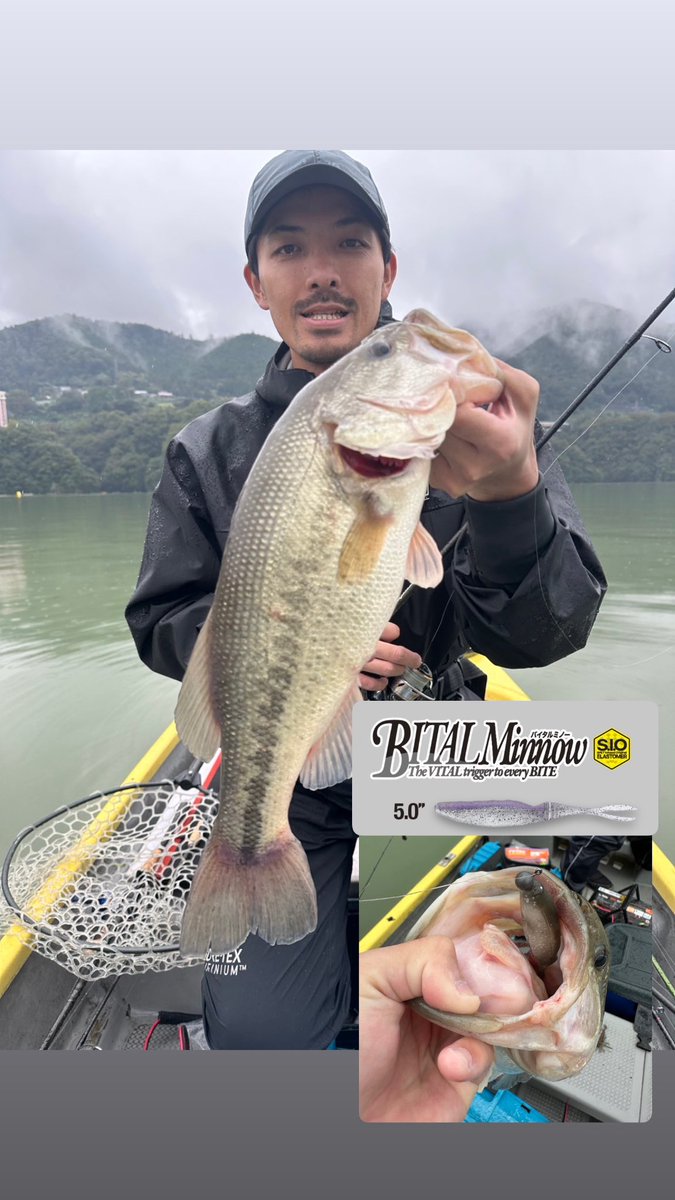 piku_pikuo's tweet photo. 本日、学生時代の友人と　相模湖🐟
濁り、ローライトコンディションから巻きでクオリティーフィッシュが狙えるんではないかと頑張りましたが、反応がなく、、
バイタルミノー5’’で良い魚✌️
カラーは、未発売のプロトカラーになります。
皆さんはどんなカラーが欲しいですか？？
にしても寒かった、、、 https://t.co/8uq59zWTrm