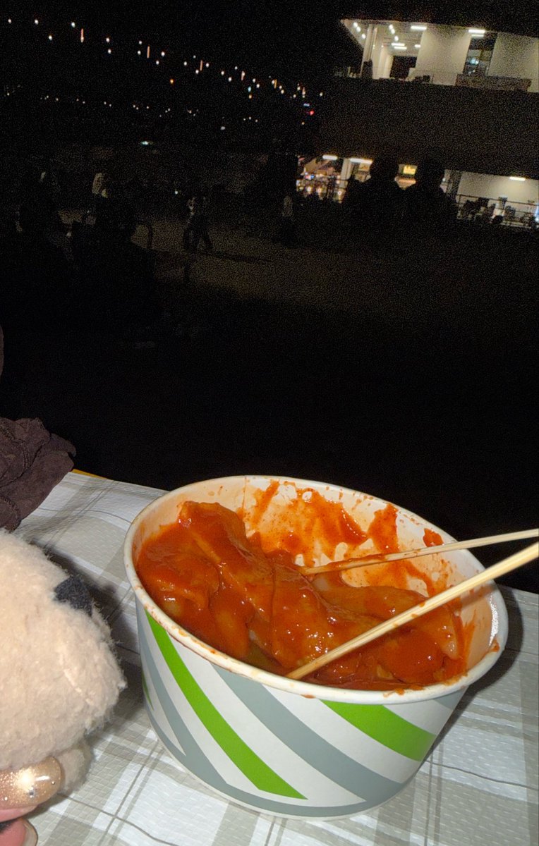 kissy_hyewon's tweet photo. ベルが行ったであろう、この日(24日夜)私も漢江いたけど、当たり前に漢江広すぎて遭遇も何もなかった。

他国の人間が、同じ日、同じ漢江という場所に居たことだけは優秀だと思う。

デブがチキンとトッポッキを貪り食べてる場合じゃなかった🫧 https://t.co/NlczzrcNVm