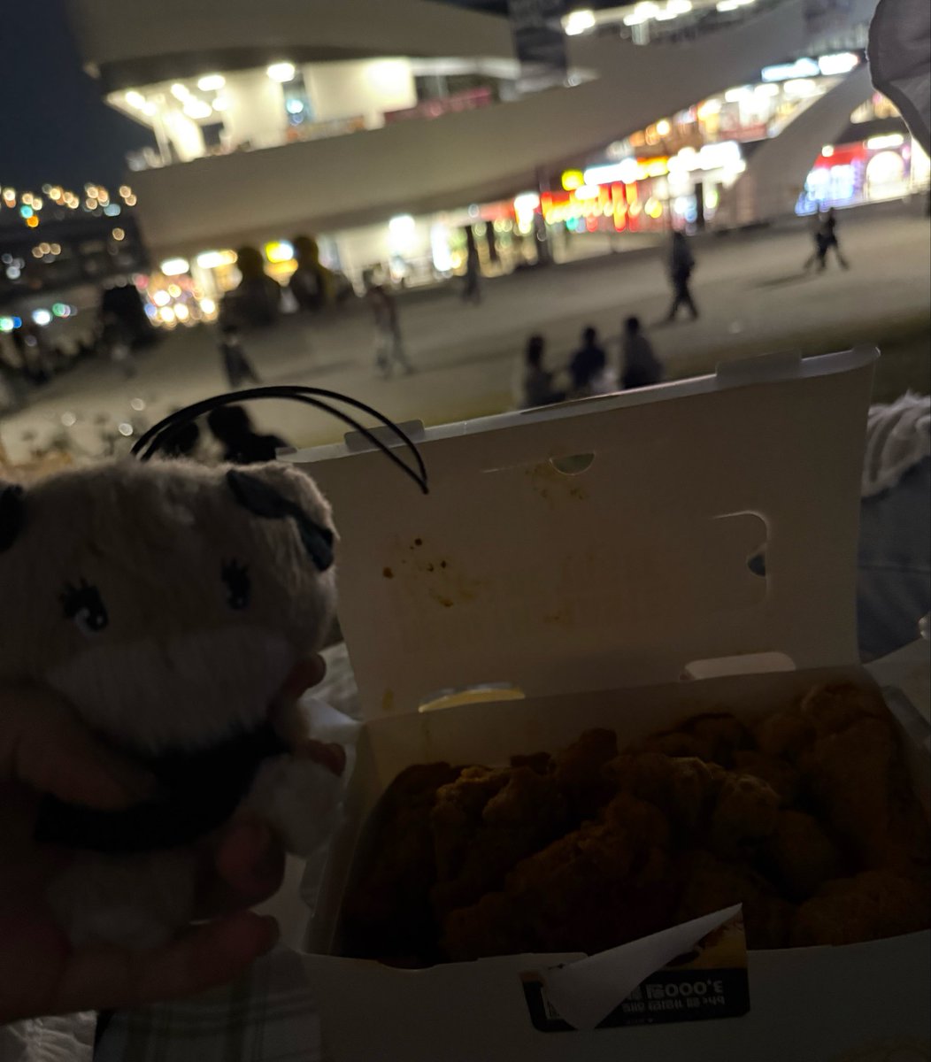 kissy_hyewon's tweet photo. ベルが行ったであろう、この日(24日夜)私も漢江いたけど、当たり前に漢江広すぎて遭遇も何もなかった。

他国の人間が、同じ日、同じ漢江という場所に居たことだけは優秀だと思う。

デブがチキンとトッポッキを貪り食べてる場合じゃなかった🫧 https://t.co/NlczzrcNVm