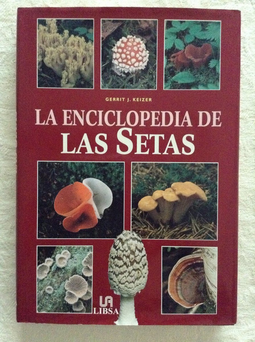Matse_05's tweet photo. @BeckwithTheMan Se filtra nuevo manual de Mil Angustias https://t.co/2zgEdl3Ubi