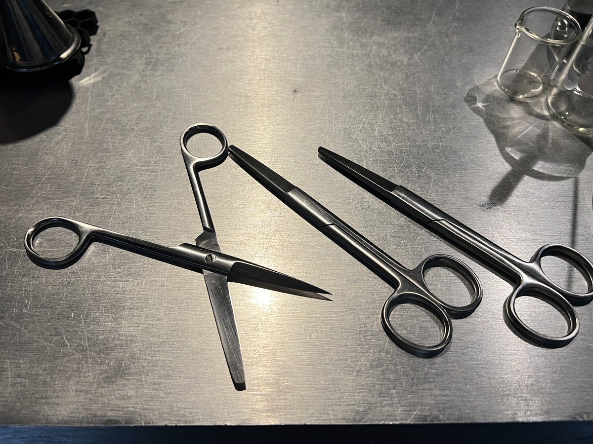 Science_Bar's tweet photo. 今日はお店でお出ししている解剖ハサミを研ぎました。

実は、ハサミの研ぎ方はナイフとは全く異なります。

ハサミは「鋭い刃を押し込んで切る」のではなく、2枚の刃が互いに擦れ合うことで対象物を“せん断”して切る道具。

そのため、単純に刃先を鋭くすればいいわけではありません。

【手順】

分解・洗浄し、明るい光に当てて刃先の鈍りや傷を確認する

外側の斜めになった「切削面」だけを、元々の刃角を維持しながら細目の砥石で研ぐ。先端から支点方向へ、削る量はごくわずかに

内側に生じたバリだけを除去して再組立て。支点の締まりを調整し、刃元から先端まできちんと切れるか確認する

〈ポイント〉

・2枚の刃が向き合う「内側の平面」は絶対に研磨しない

・自分で新しい刃角を作らず、もともとの切削面の角度をそのまま維持する

・削る金属の量は必要最小限。深い傷を消そうとして削りすぎない

・ハサミの切れ味は「刃先の鋭さ」だけではなく、「2枚の刃が適切に擦れ合うこと」が非常に重要

普段何気なく使っているハサミですが、刃物としての仕組みを考えるとなかなか面白い道具です。