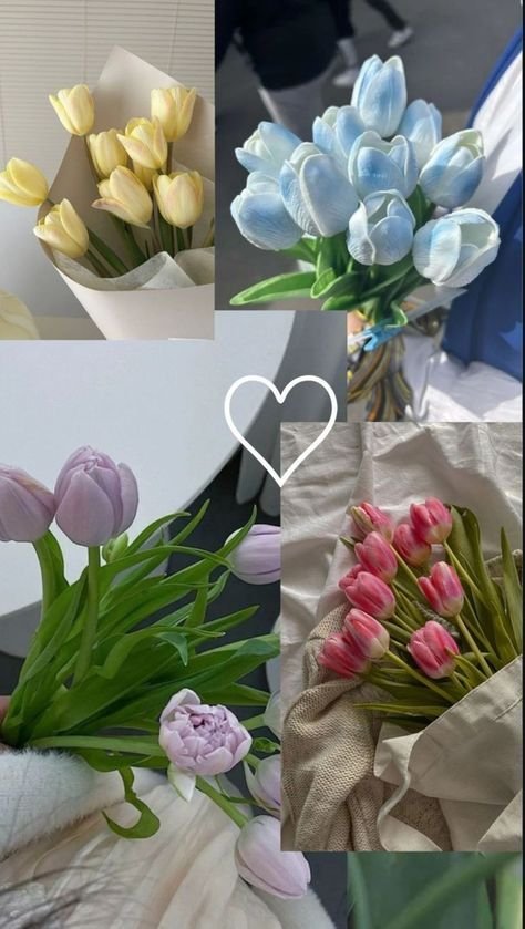 Flowersidmb's tweet photo. https://t.co/emFrFirxjs