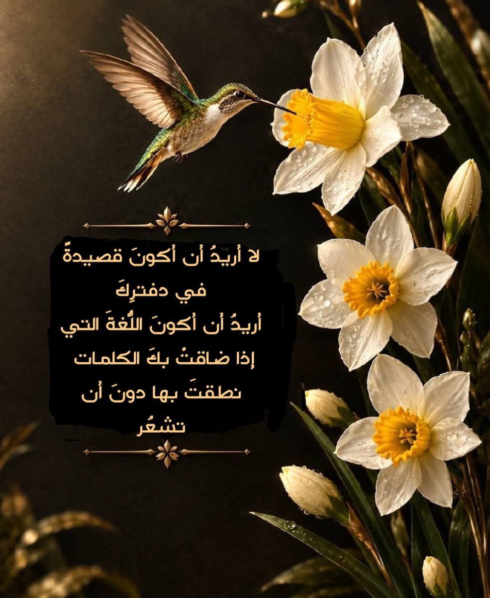 mohameed1691's tweet photo. https://t.co/h00YDAIjqN