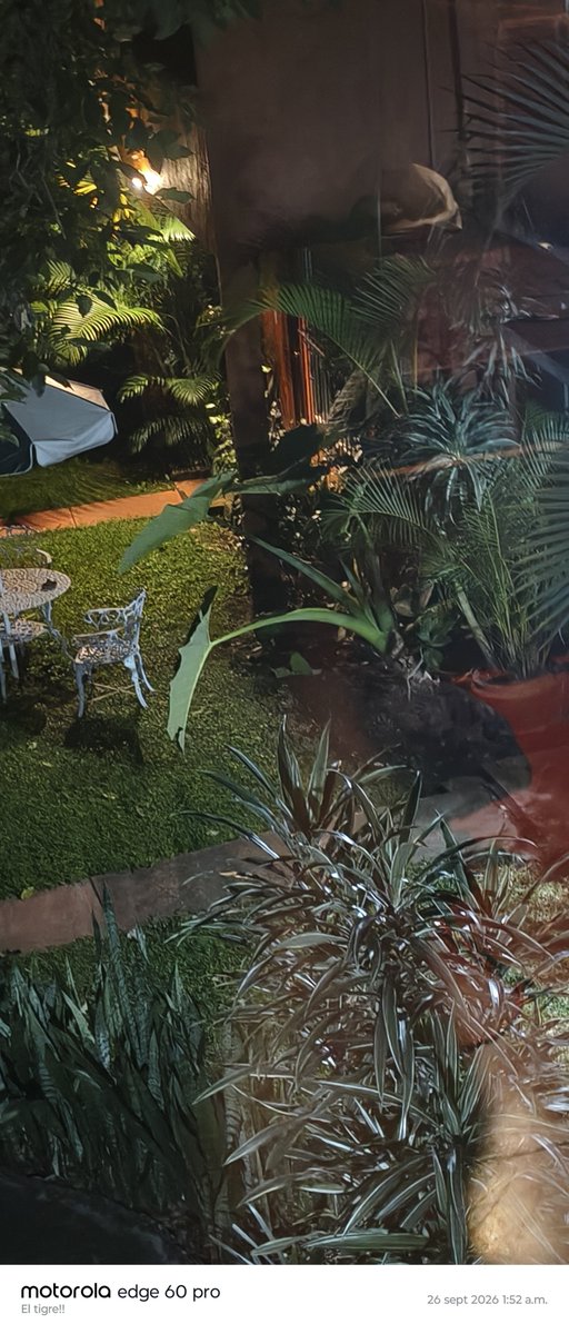 merlitwit's tweet photo. @nmas @AztecaNoticias @FIA @DiariodeMorelos @LaUnionMorelos
@Claudiashein @GobiernoMX @SSPCMexico
@SECTUR_mx @josefinarodzam
@GobiernoMorelos @mgsaravia @TurismoMorelos @DanielAltafi
@AMHM_oficial @JTejado @aristeguicnn @carmendariz @jalatorrev

S.O.S. Ya reporte 103366055 (ni un 7) al 911, y  SI VINO LA PATRULLA PERO AHORA ESTAN EN EL INTERIOR Del Htl Posada San Ángelo  @laselva100 Bioterroquien los dejo entrar y porque?  Me dicen que. Hasta que abran sus puertas podrán entrar por flagrancia ,mientras siguen atacandome desde el.imtetior del hotel Solicito apoyo urgente. @nmas @AztecaNoticias @SECTUR_mx @TurismoMorelos @GobiernoMorelo  @MGsaravia 
#BioterrorismoExtorsionClobrodepiso