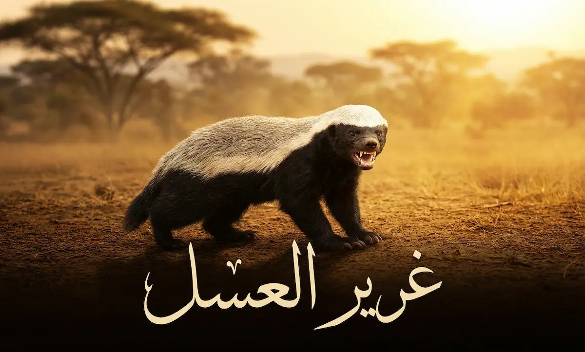 alyafee_sa's tweet photo. لا اتفق معك يا @Abdgni_AZubidi
في تشبية انصار الله بانهم تمساح
انا اشبهم بانهم غُرَيْر العَسَل ابحثوا عن صفاته https://t.co/tD4hNNbzZd