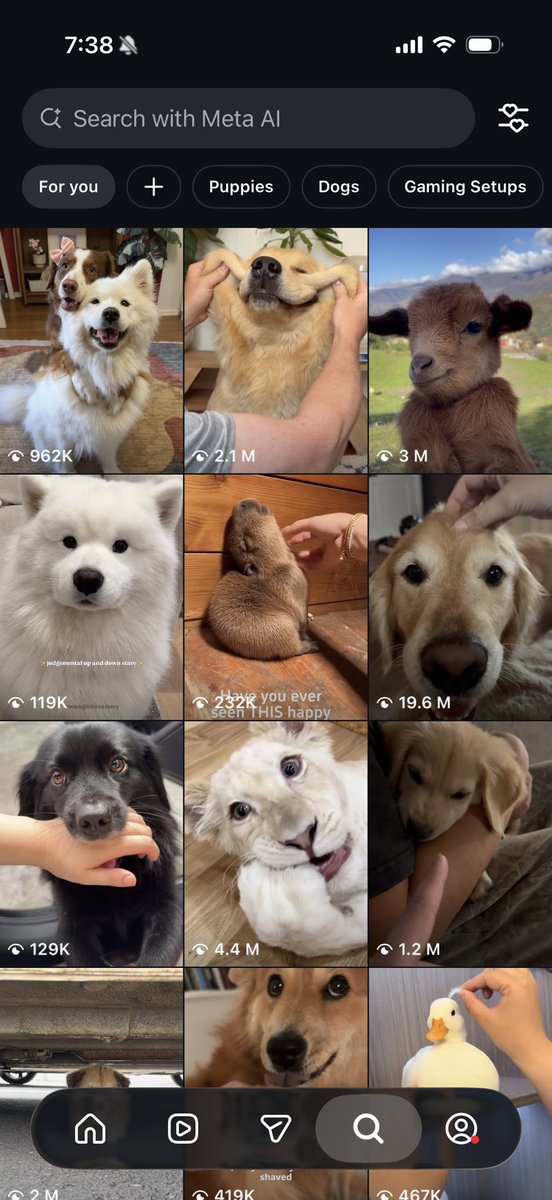 wasureta_mp3's tweet photo. @AkiraTsukiyono 僕のアルゴリズムには犬がたくさんいて、それが本当に嬉しいんだ ☺️ https://t.co/IuEDGI2uG6