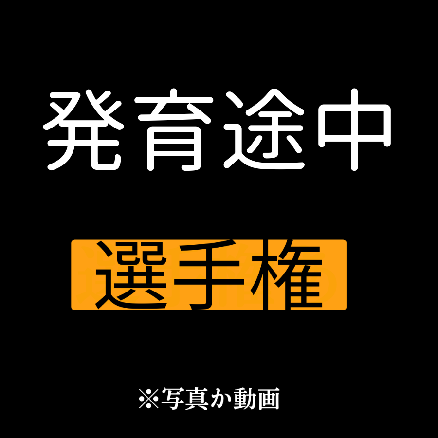 Dons_world's tweet photo. 未来に期待 https://t.co/oZzSxLoCjS