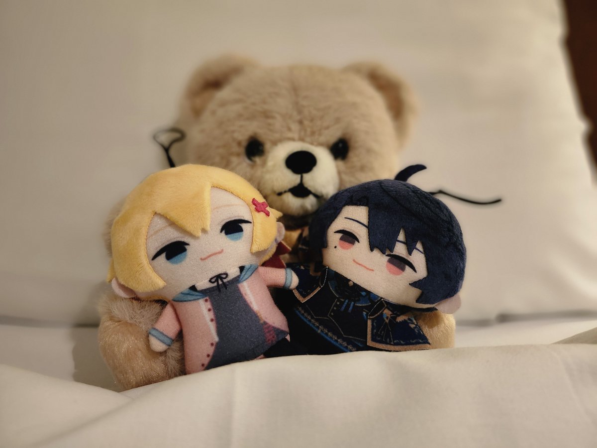 27_0204's tweet photo. 新しいお友達だよ🐻 https://t.co/BsVWzzt8UI
