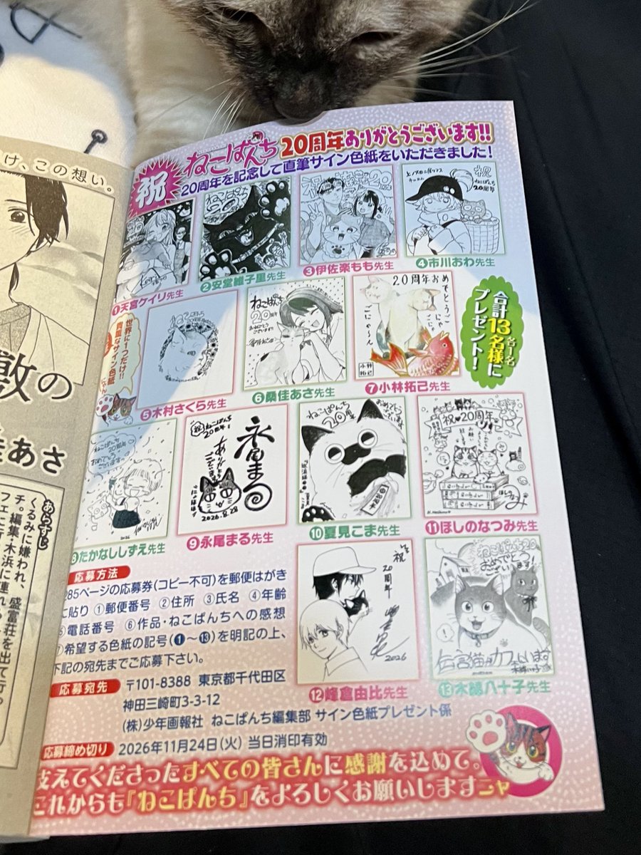 nagaomaru's tweet photo. ねこぱんち20周年記念に漫画家さん達の素敵なサイン色紙プレゼントがあります。
永尾も参加させていただいております。

ご応募してくださると嬉しいです！

『どうにもたまらんネコ好き❤️号』
よろしくお願い致します。 https://t.co/Vq1n2oYzGA