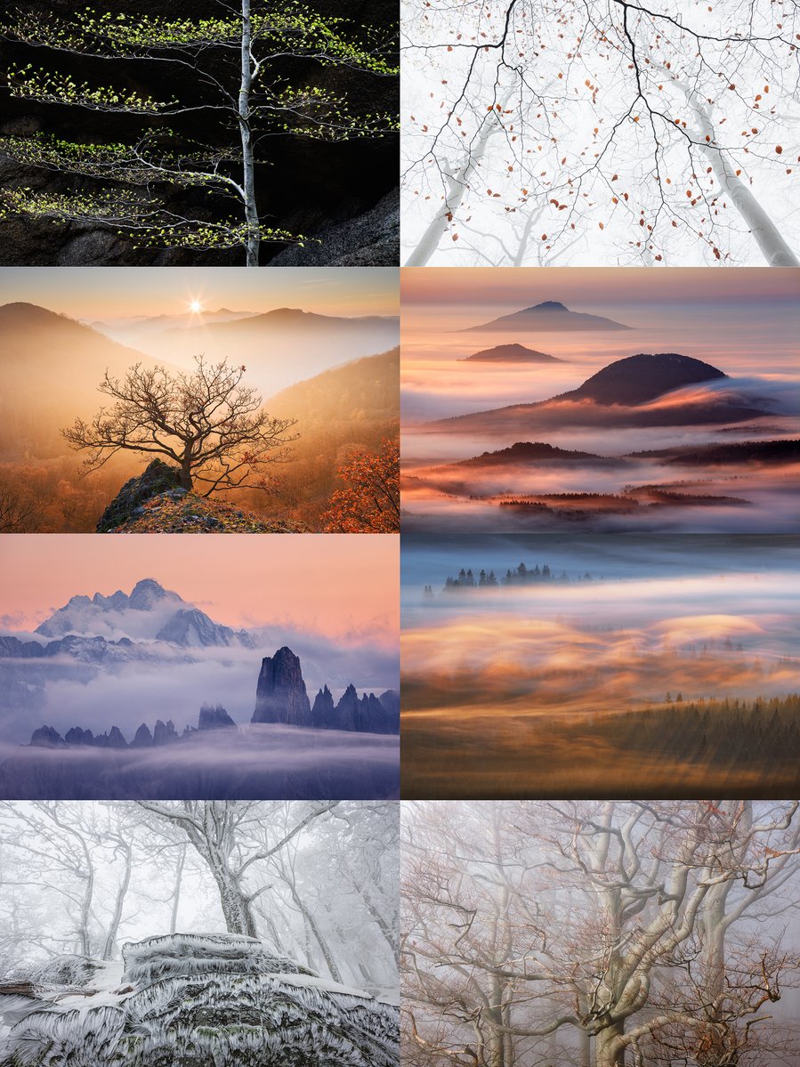 martas_'s tweet photo. I am excited to be awarded fifth place in the Photographer of the Year category of this year’s Natural Landscape Photo Awards with this portfolio of eight images.  

It is a great honor to be recognized among such amazing and inspiring landscape photographers!

@natlandawards https://t.co/ZDyZPbYLlo
