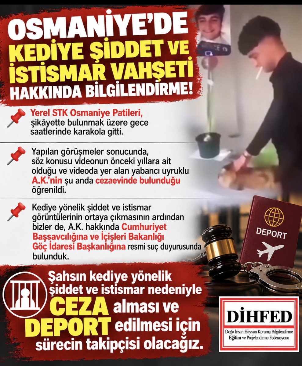 sevinccalisir's tweet photo. OSMANİYE’DE KEDİYE ŞİDDET VE İSTİSMAR VAHŞETİNİ YAPAN A.K. 

CEZAEVİNDE!!!

A.K.’nin şiddet ve istismar nedeniyle CEZA alması ve DEPORT edilmesi için sürecin takipçisi olacağız. https://t.co/yVMmbhrR6M