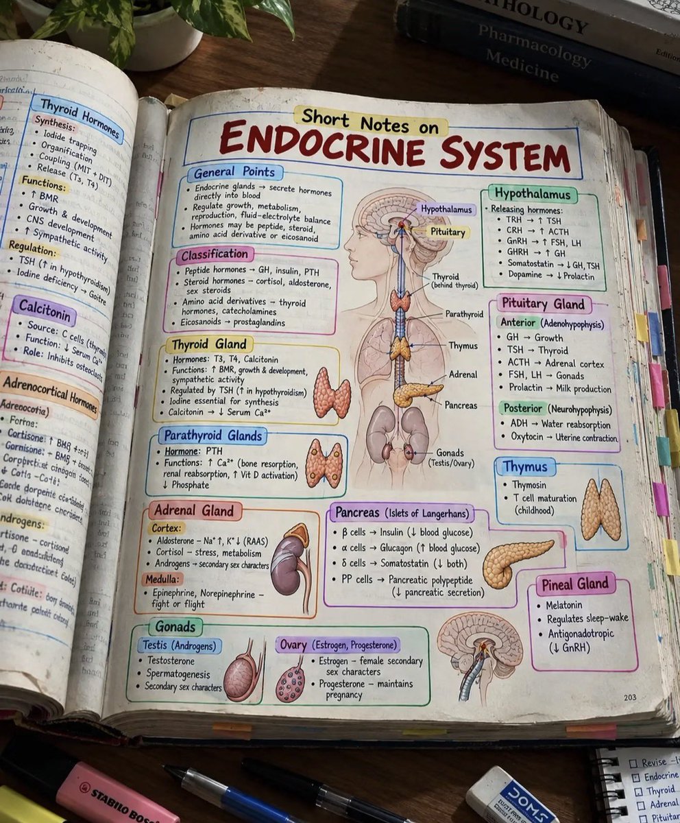 abdulhamid_199's tweet photo. ملخص يختصر لك 
موضوع  (Endocrine System ) 

ملخص جدا حلو للامانة

احفظه عندك https://t.co/mMCoTGaYTf