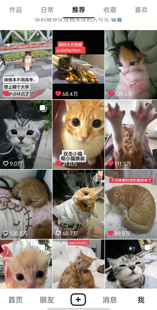 kikkieba's tweet photo. 小猫为啥这么萌我去！太萌了太萌了！看的人哈特软软 https://t.co/DpfRQ2hxQP