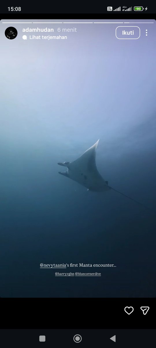 ocasienaaa's tweet photo. Diving first time tapi bareng suami yaaa neppp🥺🤍🤗 https://t.co/kKNWzaGq7Q