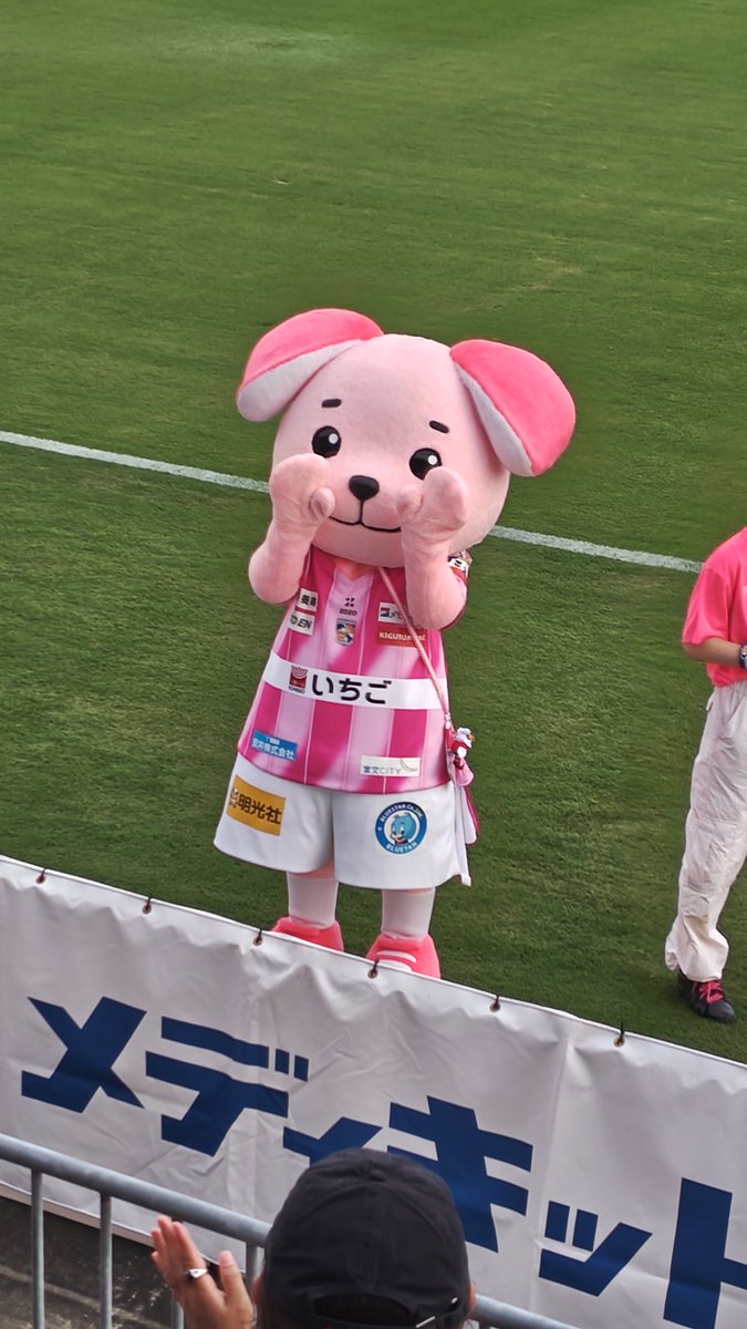 kaba_yan's tweet photo. かわいい https://t.co/b8Ym0rRjb5
