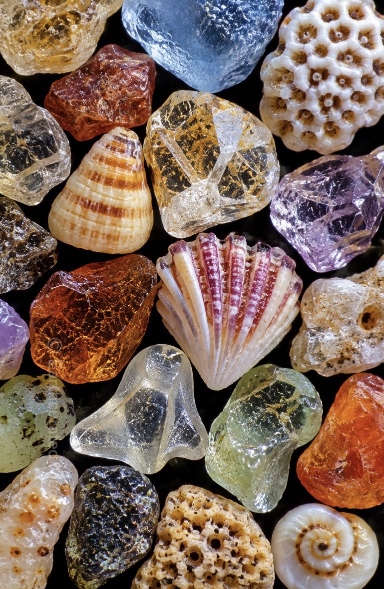 earthcurated's tweet photo. Sand looks ordinary until you see what it’s actually made of.

Magnified hundreds of times, individual grains can reveal tiny fragments of rock, minerals, shells and even marine organisms. https://t.co/dByOqfS5Ak