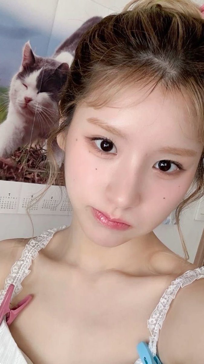savxior's tweet photo. selamat siang ols 🐇 https://t.co/QkqtFo6tQm