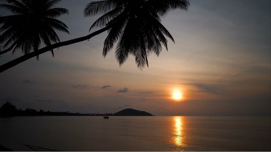 danielzieme2gb's tweet photo. for naturally. your to you, while stress fades away This is moment juan chretien🇻🇳 https://t.co/2MTkMG632C