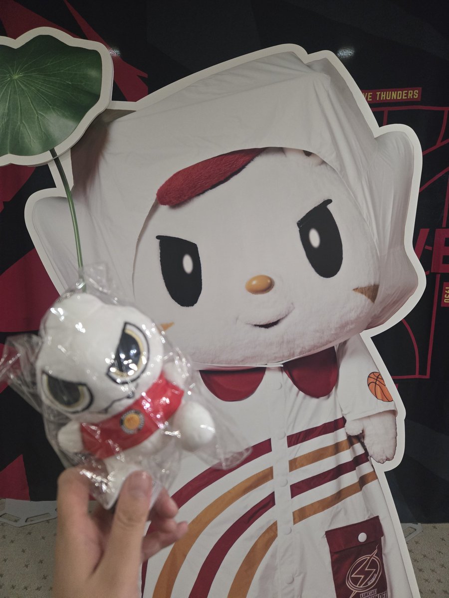 charu4kawa's tweet photo. ドルチィとロウル🐬⚡

#ロウル
#ロウルかわいいよロウル
#川崎ブレイブサンダース
#ドルチィ
#DOLCHY 
#名古屋ダイヤモンドドルフィンズ https://t.co/BPdCiI6u6U