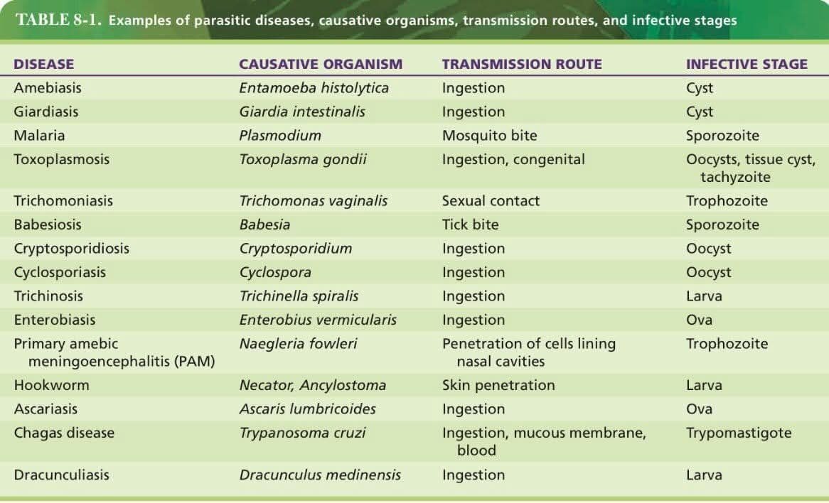 _Rose_Lab's tweet photo. للطلاب المقبلين على اختبار الهيئة
#SLLE  &amp; #Micro 

💥 المرض والمسبب والناقل والطور المعدي للطفيليات ... https://t.co/shXdsCUHCA