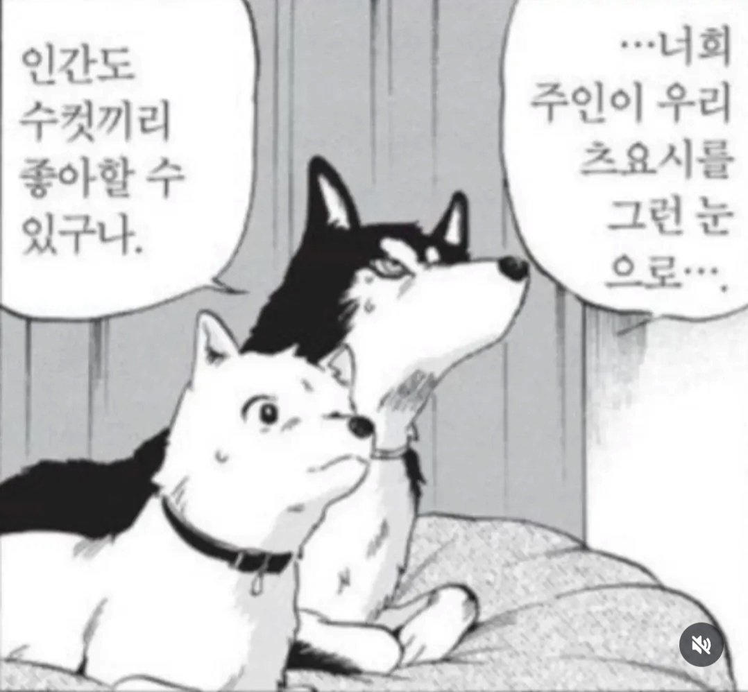 Bibibighi's tweet photo. @gmpnavi @gimduha77994334 저도 하나 던집니다. 사실 두명이 생각났습니다 누구인지는 말안해도 다 알것입니다! https://t.co/KBFZUkSEds