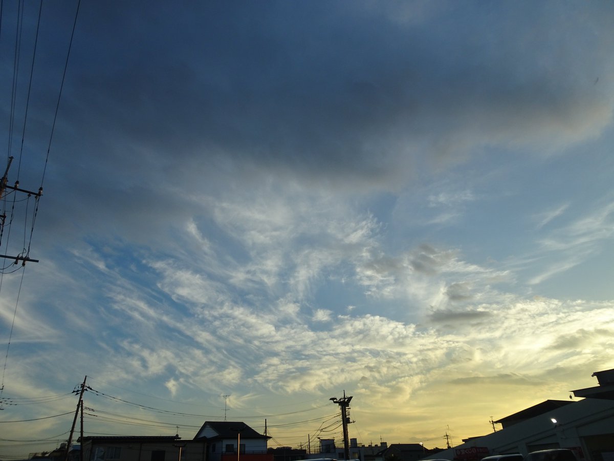 Hikawadaiii's tweet photo. ããæ°æ¥æŽããŠã»ããðã#åçå±ãã #ããªã³ãã·ã§ãã #ãã©ããµãŒãã¹ã·ã§ãã #緎銬åºåç #緎銬åºèšŒæåç #çŸå #ãã¬ãããã©ã¶ #photogoods https://t.co/ii6qDH1hh1