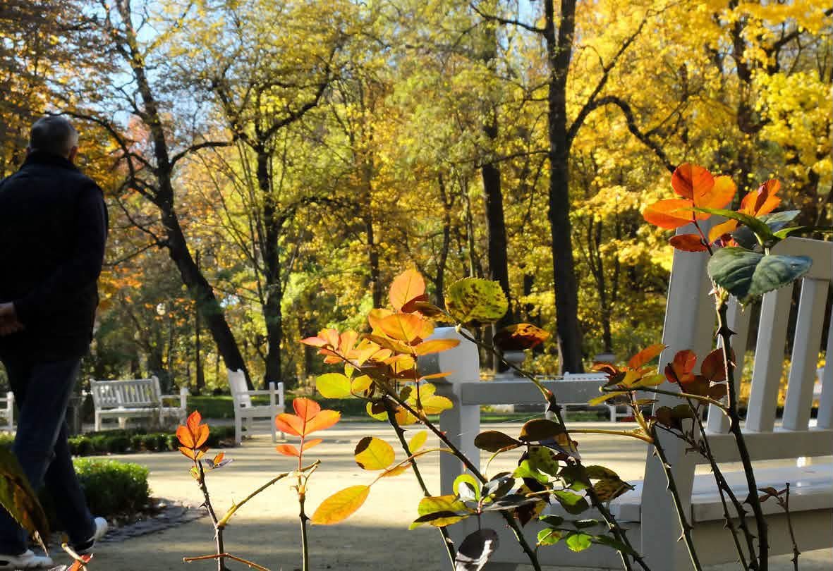 Miasto_Lublin's tweet photo. Dzień dobry, #Lublin. Przed nami pierwszy jesienny weekend 🍂 Niech będzie spokojny, pełen dobrych spotkań i czasu na odpoczynek 😊
#LublinCity #Jesien #Sobota https://t.co/Tlcx7vPRK8