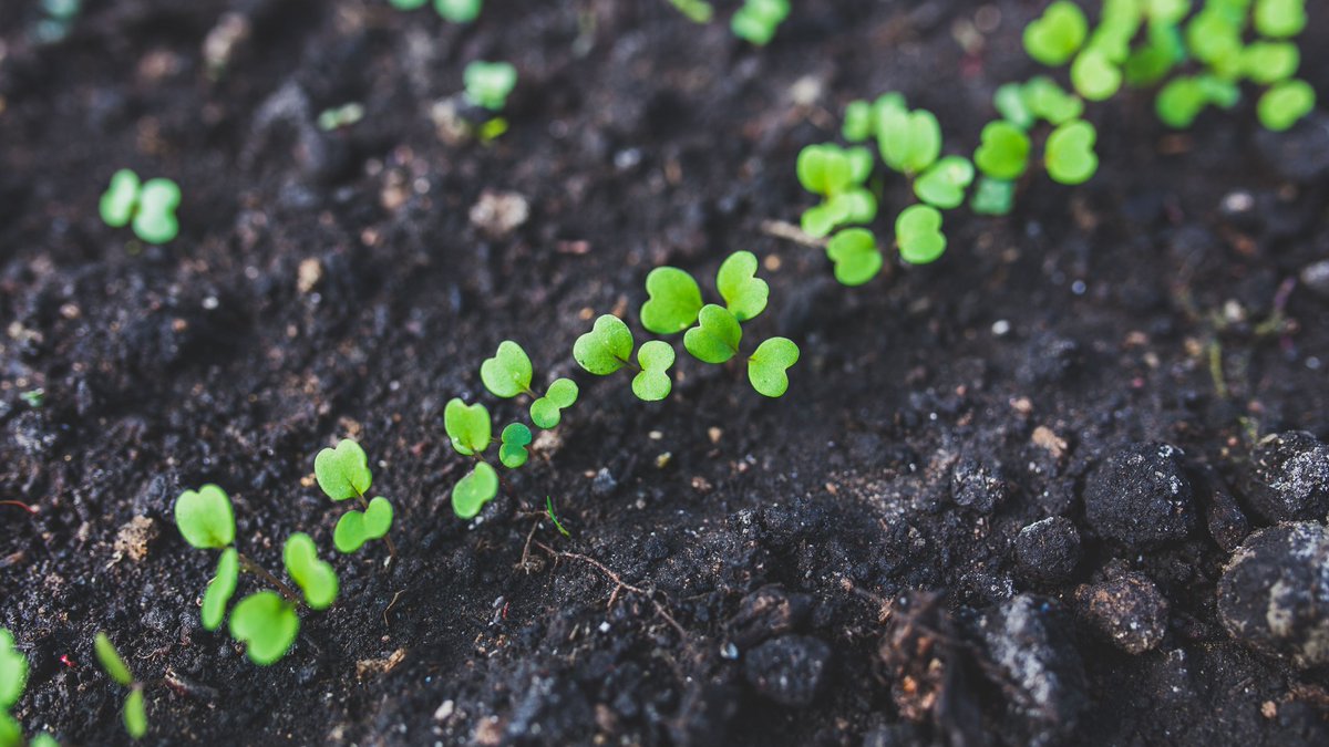 Prim_fr's tweet photo. 🧠🌱 La minute MINDSET, Jour 20 — « Soyez patient en face de tout ce qui n'est pas résolu dans votre cœur. » — Rainer Maria Rilke, Lettres à un jeune poète (1903). 👇 Ouvre le fil pour lire en entier. https://t.co/OIDdrPL38K