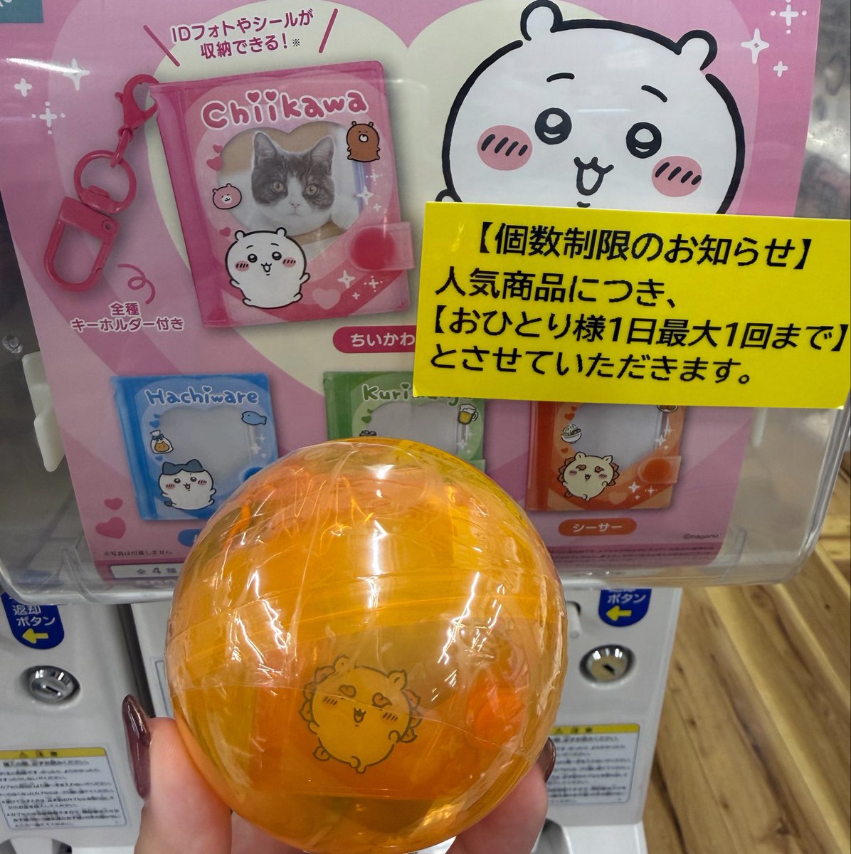 ryan_ga1cha23's tweet photo. 交換探しております
ちいかわ ミニコレクトブックキーホルダー 

譲：シーサー

求：ハチワレ

郵送でのお取引　もしくは都内近郊手渡し
検索からでもお気軽にお声掛けください

出先のためIDなしで失礼いたします https://t.co/jswIZ3dQD8