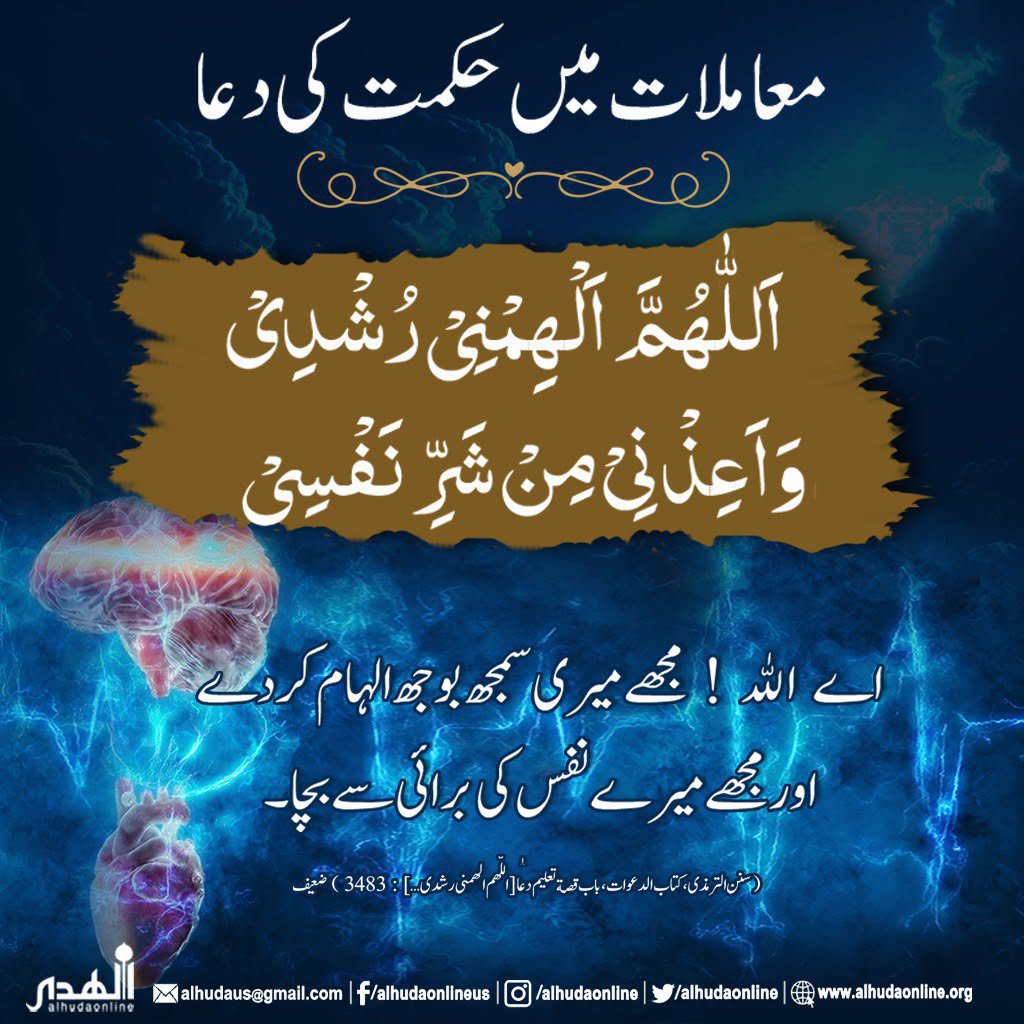 nonari_kashif tweet picture
