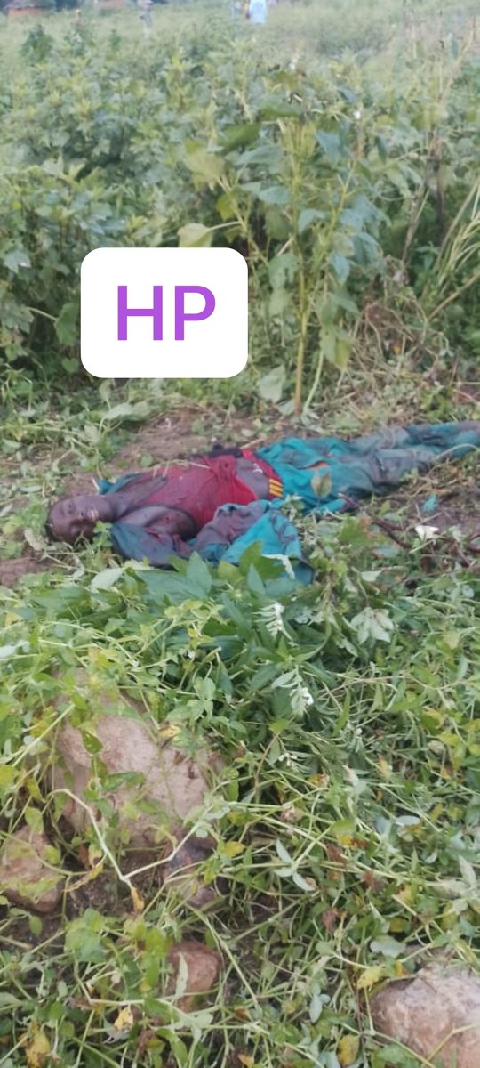 HumanityPurpose's tweet photo. #UPDATE
L'#incursion d'hier était une #attaque du poste militaire de #Mandoussa (Carrefour allant à #Ouzal). Les #FDS ont repoussé l'attaque.
Bilan: au moins 01 BH tué, des champs saccagés (sésame, coton, mil, etc.) pendant leur repli. https://t.co/CYLuTvCMke