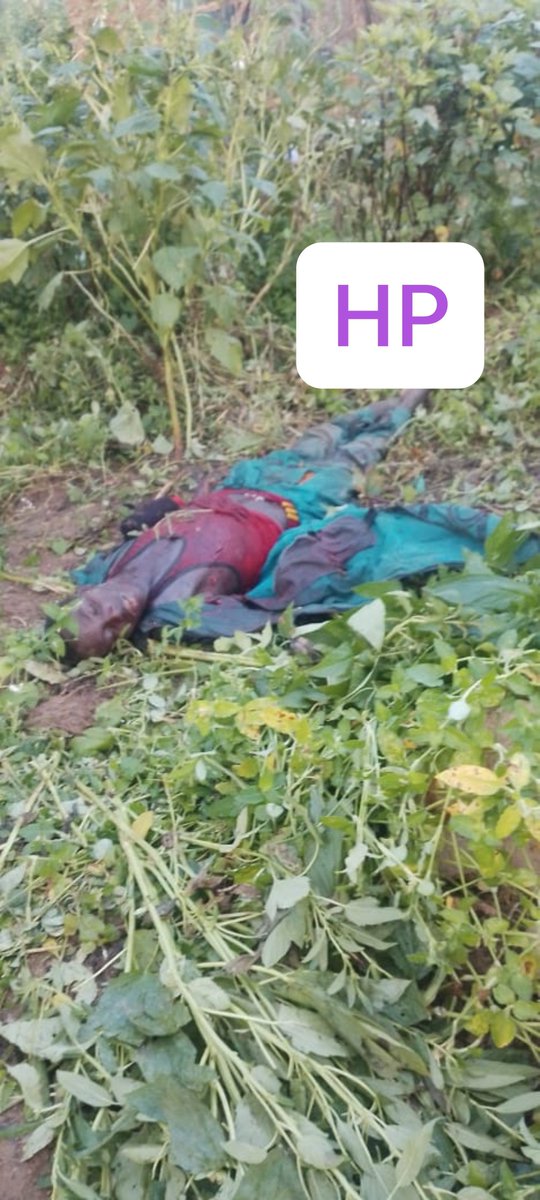 HumanityPurpose's tweet photo. #UPDATE
L'#incursion d'hier était une #attaque du poste militaire de #Mandoussa (Carrefour allant à #Ouzal). Les #FDS ont repoussé l'attaque.
Bilan: au moins 01 BH tué, des champs saccagés (sésame, coton, mil, etc.) pendant leur repli. https://t.co/CYLuTvCMke
