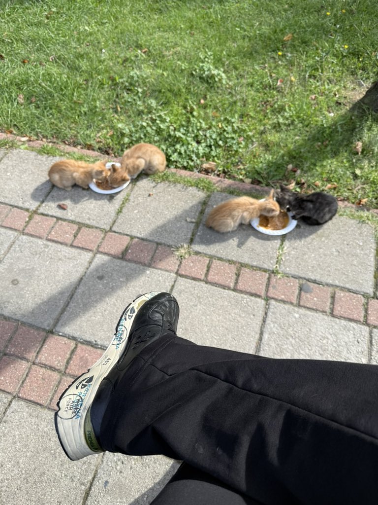 ByVanir's tweet photo. Kafanıza göre koyduğunuz yasağı tanımıyorum hadi gelin koyduğunuz yasağı uygulayın  .. https://t.co/QrUVhcekD3