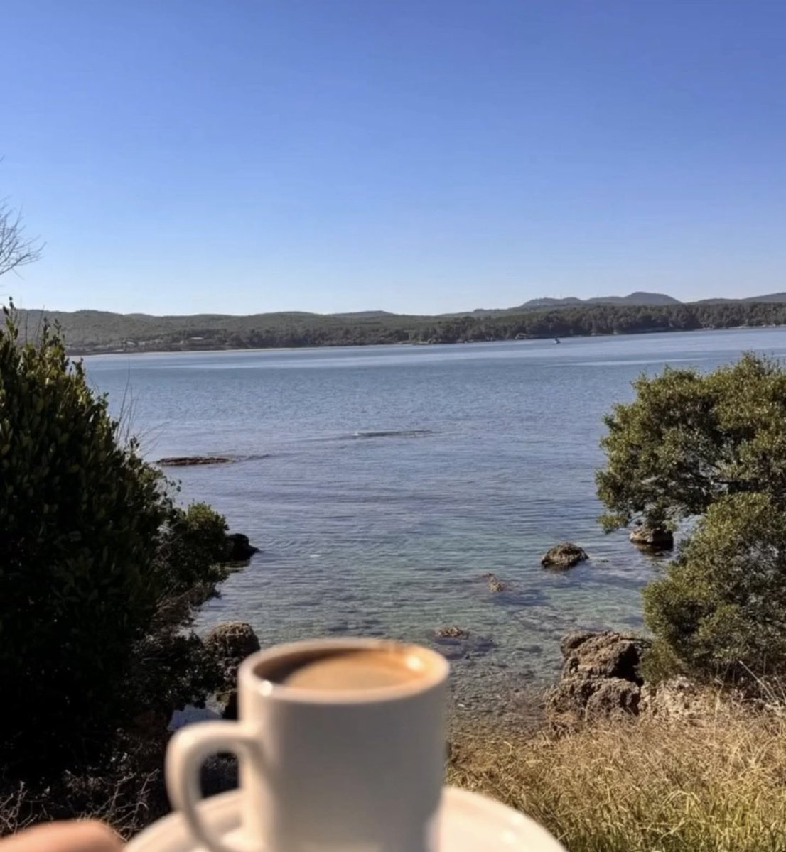 ___black_pearl's tweet photo. ☀️☕️ https://t.co/ploXoavoDs