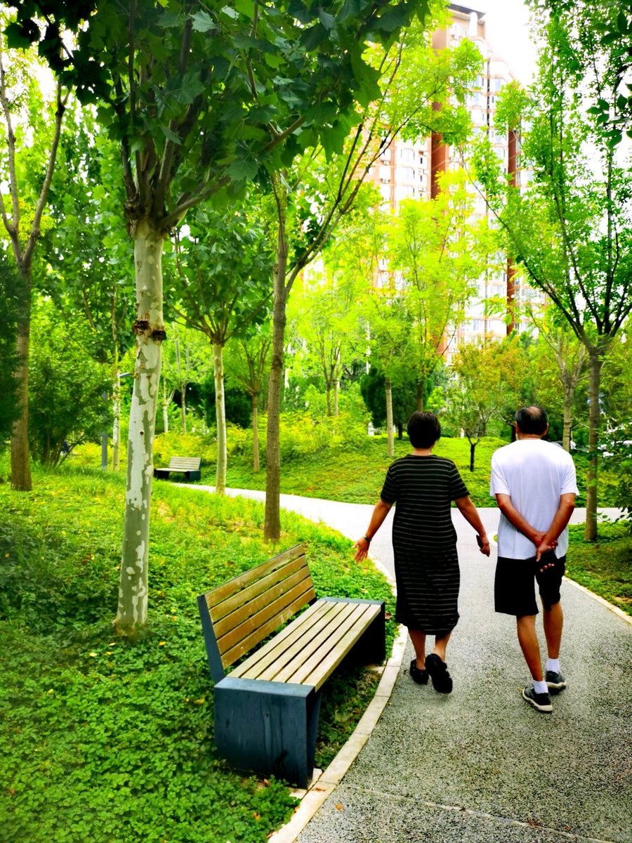 TameraNolden's tweet photo. Cada día 30 minutos de caminata mejora tu corazón, reduces el estrés y te sientes más ligero. Mueve tu cuerpo hoy!， https://t.co/xTI51gXeJs