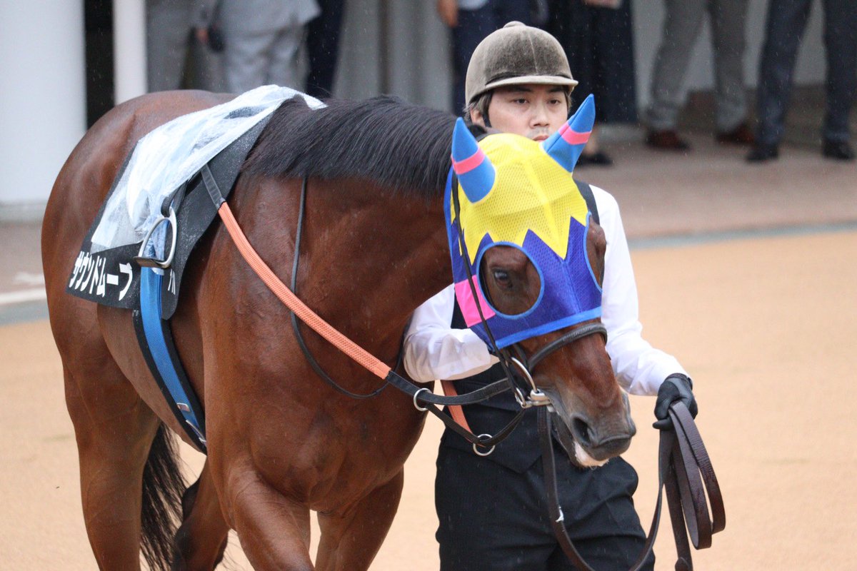 soiree1215's tweet photo. 中山11R 秋風ステークス
勝ち馬のサウンドムーブと津村明秀騎手
皐月賞以来の中山で勝利👏
おめでとうございます🎊

#サウンドムーブ 
#津村明秀 https://t.co/eYJR3boQC1