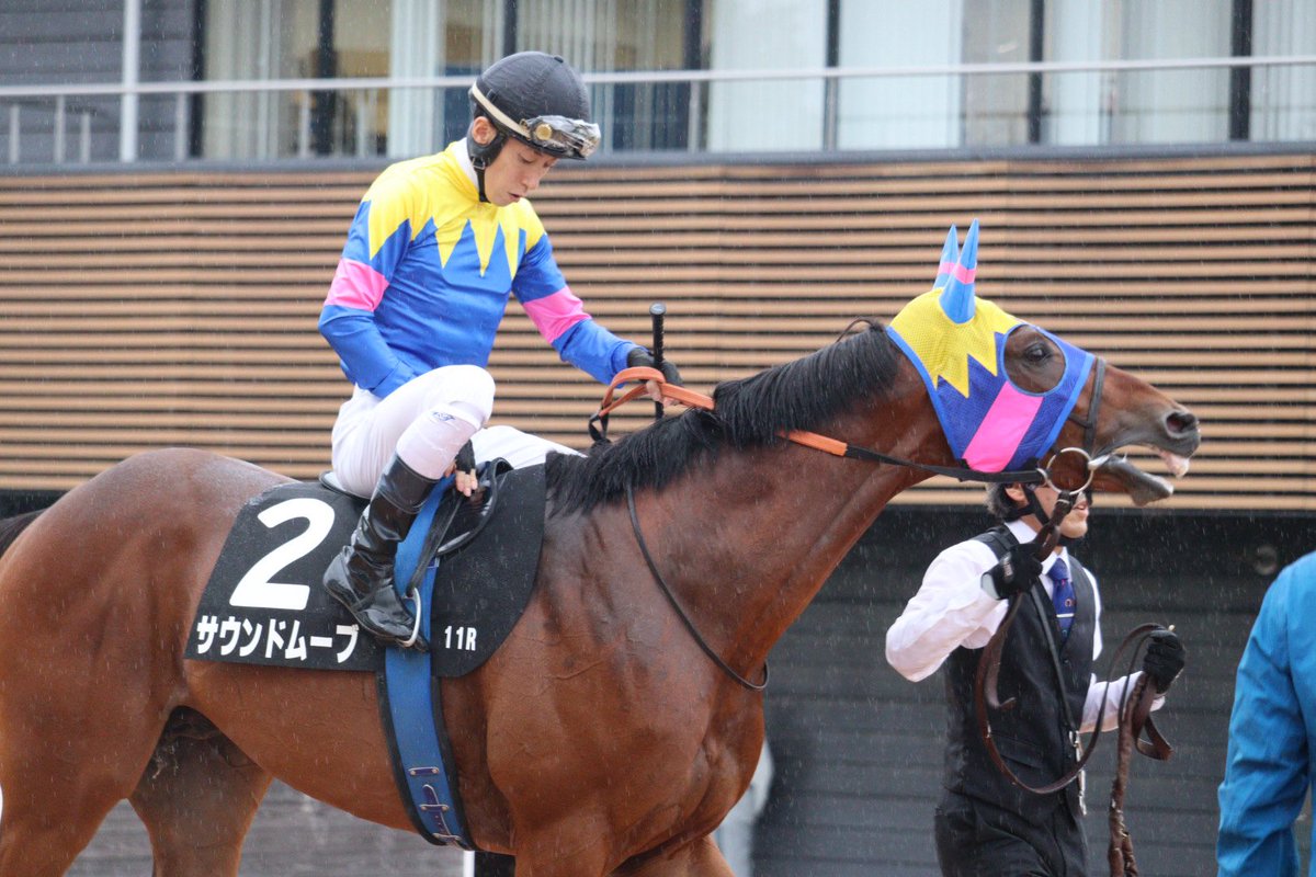 soiree1215's tweet photo. 中山11R 秋風ステークス
勝ち馬のサウンドムーブと津村明秀騎手
皐月賞以来の中山で勝利👏
おめでとうございます🎊

#サウンドムーブ 
#津村明秀 https://t.co/eYJR3boQC1