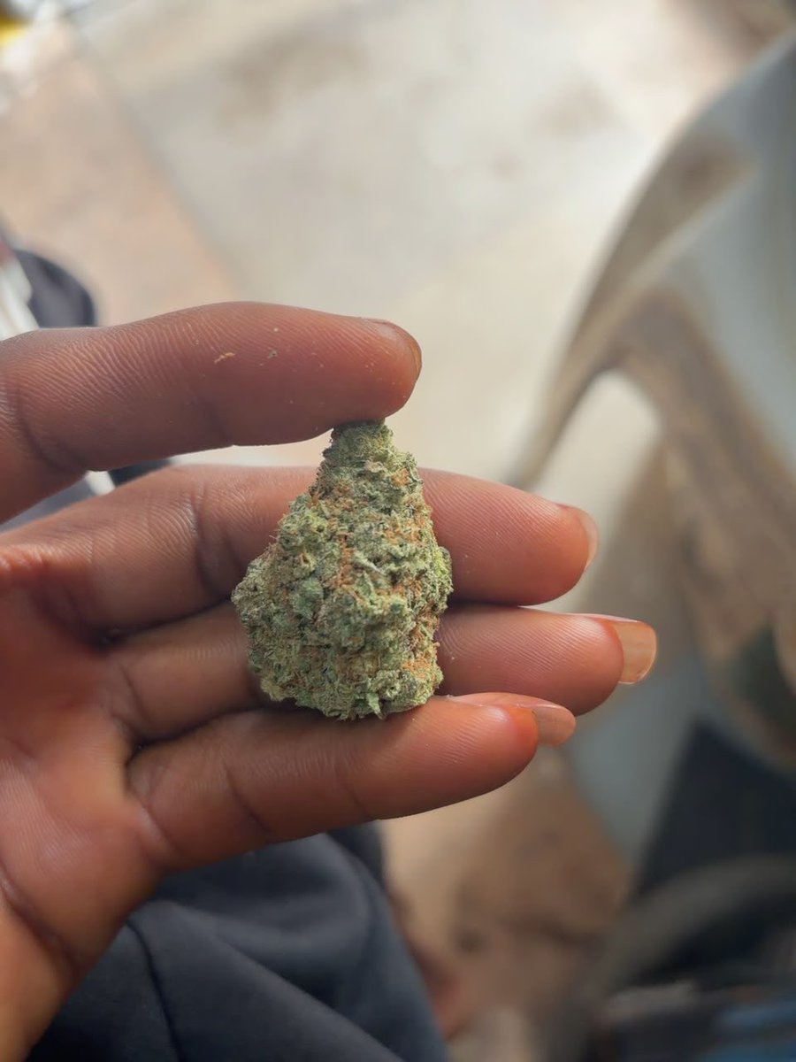 420culture_0's tweet photo. How much is a gram in your area 🤔 https://t.co/NKvWsYwmNv