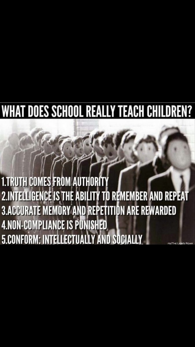 EmmaMowfor68297's tweet photo. @KirstyC91398220 Schools build ego not consciousness. https://t.co/sn4oPlcqOl