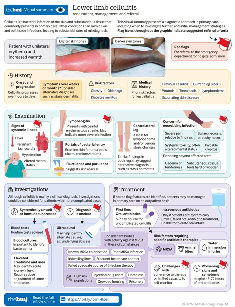 ManualOMedicine's tweet photo. Diagnosis and Management of Lower Limb Cellulitis
#medtwitter #foamed #meded https://t.co/Nar7LaIXLH