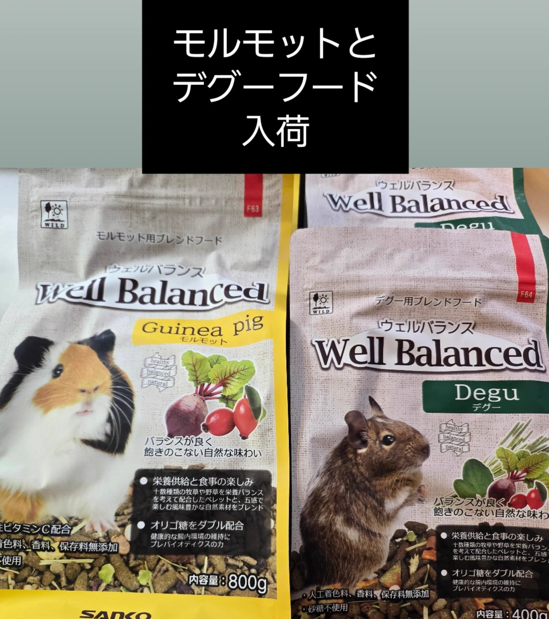 爬虫類専門店【𝙳𝙸𝚉𝚉𝚈 𝙿𝙾𝙸𝙽𝚃】東京第002225 on X: 
