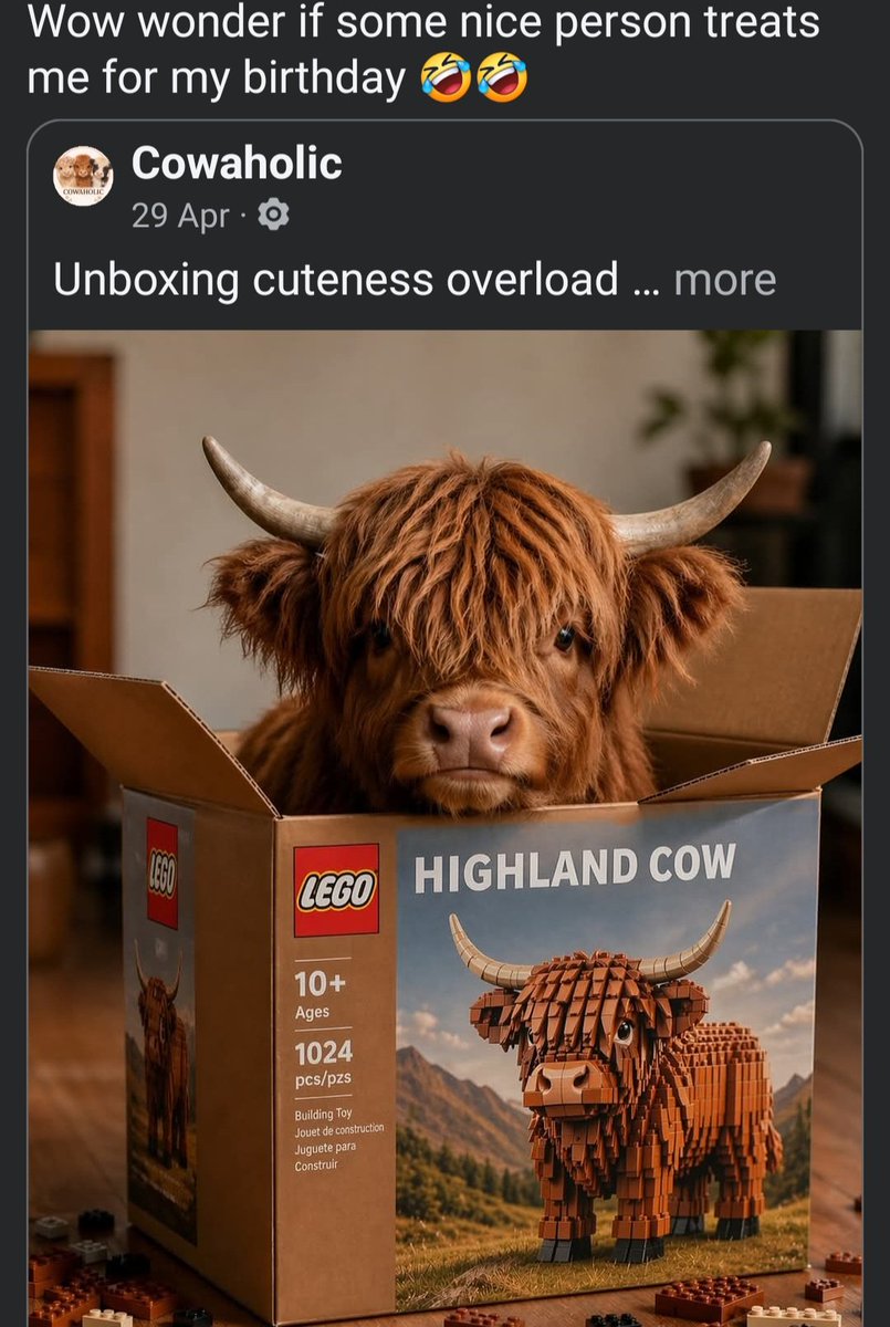 RebecTV's tweet photo. If you wanna know how the Boomers on Facebook are doing, my auntie almost exclusively reposts AI images of Highland Cows https://t.co/AuqP2T02s2