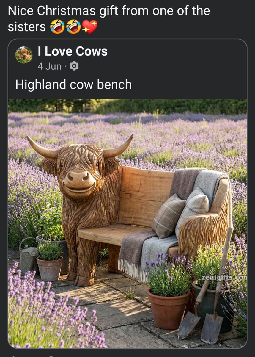 RebecTV's tweet photo. If you wanna know how the Boomers on Facebook are doing, my auntie almost exclusively reposts AI images of Highland Cows https://t.co/AuqP2T02s2